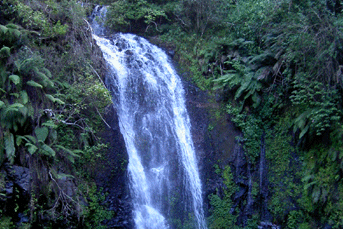 Montagne d'ambre