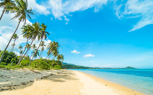 La côte Est exotique de Madagascar