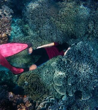 Snorkeling