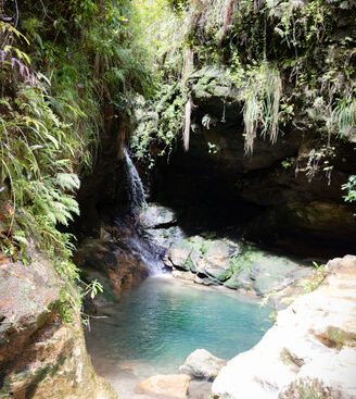 Piscine naturelle