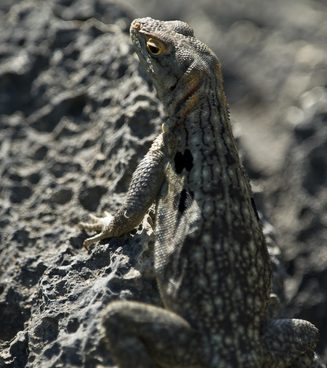 Parc national de Tsimananpetsotsa