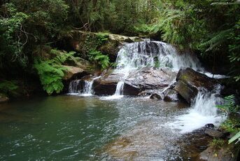 Parc national d'Andasibe