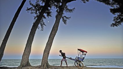 Environnement et Hommes de l'Est