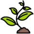 Icon-plante