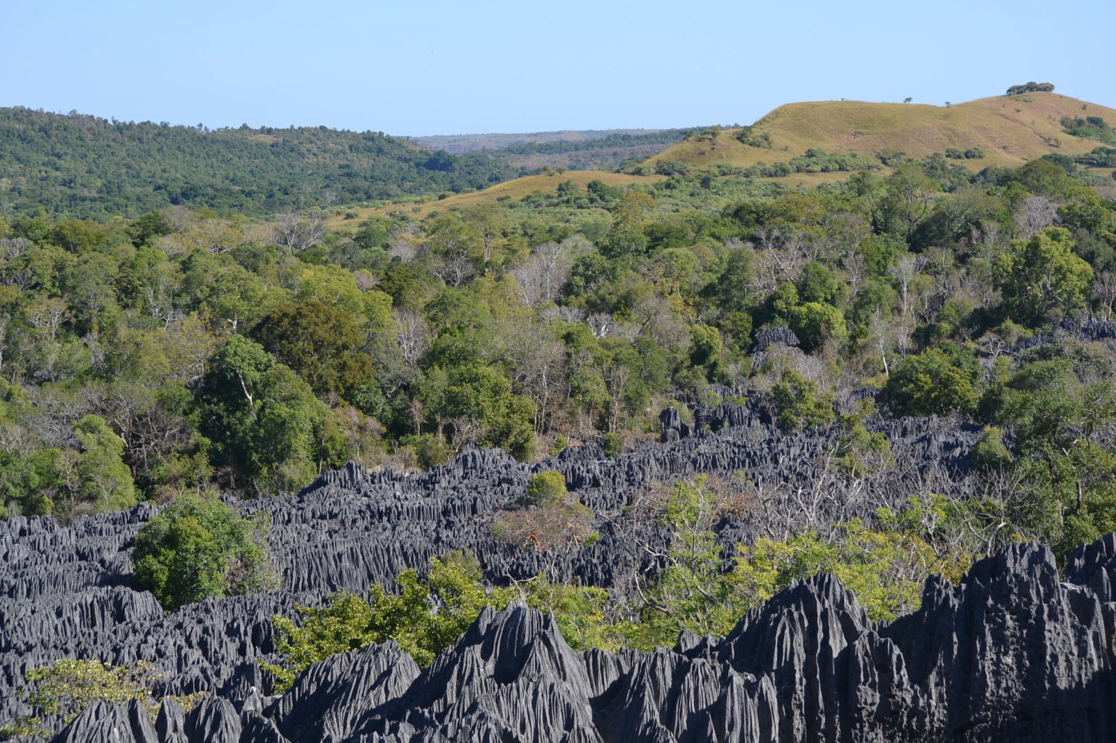tsingy bemaraha
