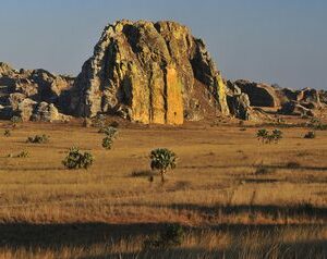 merveille du sud de madagascar