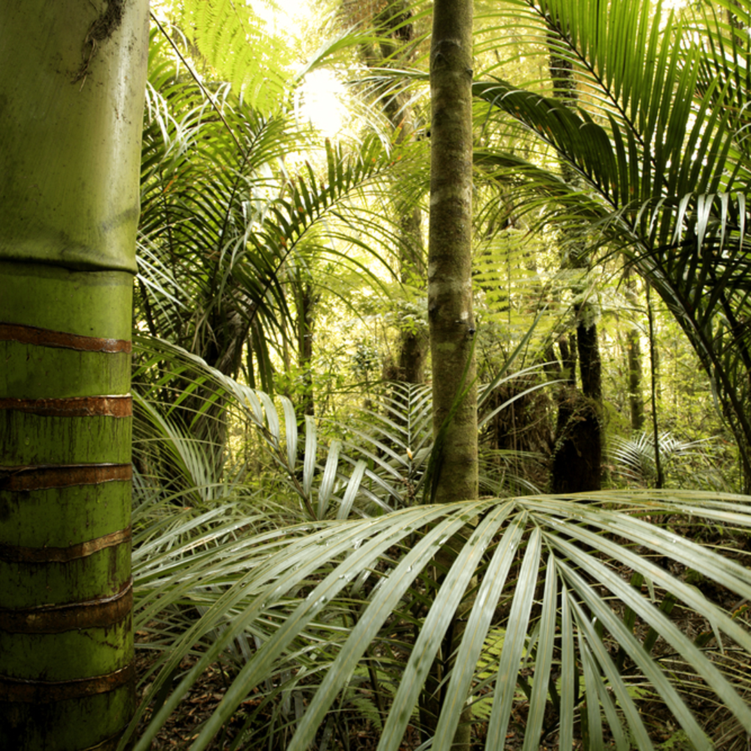 Post_parc_andasibe-bis-02