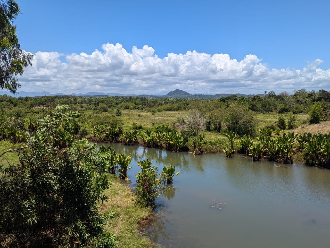 WhatsApp Image 2025-06-05 at 15.43.29